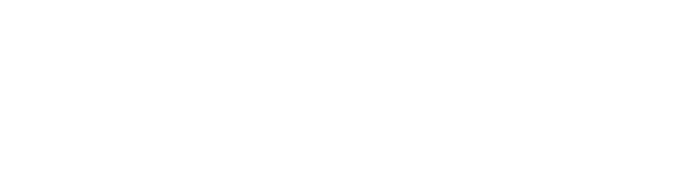 Web logo white.png